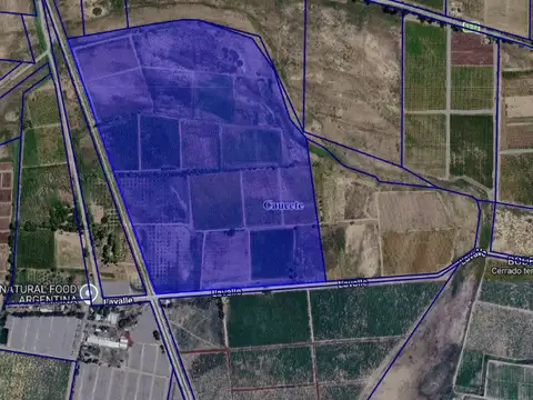Campo en Venta Agrícola