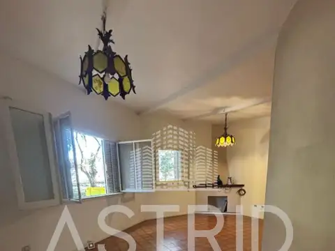 Florentino Ameghino 100