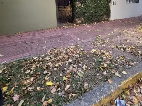 Florentino Ameghino 100