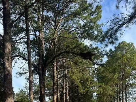 Terreno en Venta 30  mts Fondo