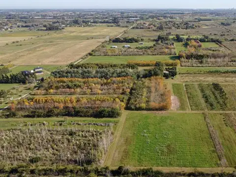 CAMPO EN VENTA ARANA  DE 17,42 HECTÁREAS