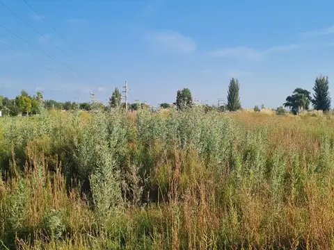 LOTE EN VENTA  EN  TUNUYÁN-MENDOZA- 2,5 HAS