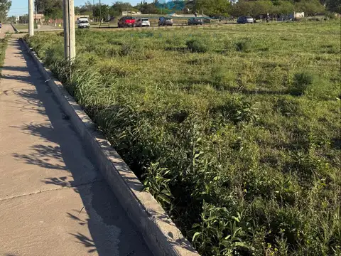 VENTA - LOTE 477 m2 - COLONIA CAROYA-PARQUE GUYON