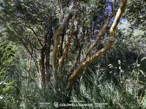 Terreno en Venta de 2013,0 m2
