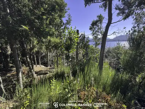 Terreno en Venta en Lago Correntoso, USD 390.000