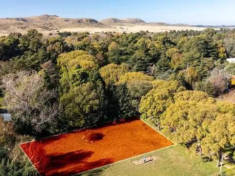 VENTA LOTE VILLA ARCADIA