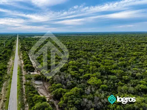 Campo en venta de 1595 ha de Monte | Ruta Nacional 81 | Embarcación | Salta