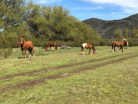 El Cajon-Cholila-Chubut