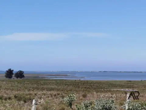 Chacra de 26.5 ha entre canchas de polo, y con vista a Laguna de José Ignacio.