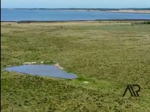 Chacra de 24,8 ha entre canchas de polo, y con vista a Laguna de José Ignacio.