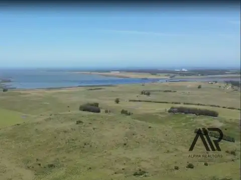 Chacra de 26.5 ha entre canchas de polo, y con vista a Laguna de José Ignacio.