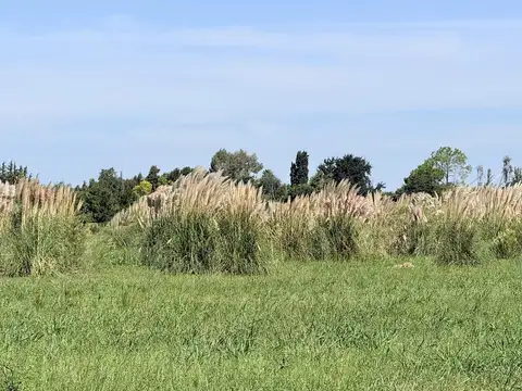 Terreno en Venta de 500,0 m2