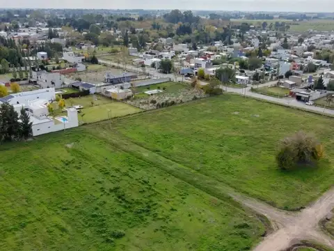 Terreno en Venta de 790,0 m2