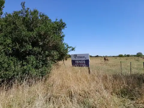 Chacra 5 Hectáreas Gral Madariaga