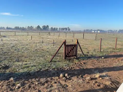 Terreno en Venta en Guernica, USD 12.900