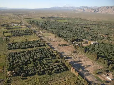Campo en venta San Juan