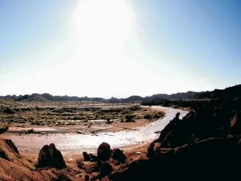 Campo en Venta en Bermejo, Caucete