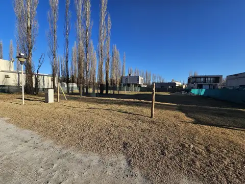 Terreno en Venta 16  mts Frente