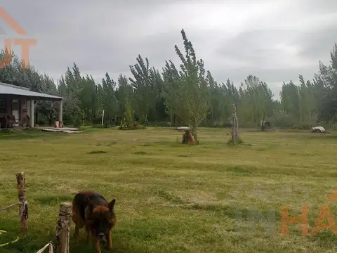 Chacra en  Cinco Saltos