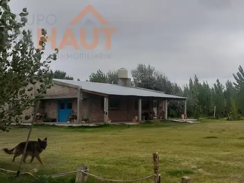 Chacra en  Cinco Saltos