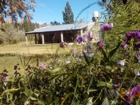 Chacra en  Cinco Saltos