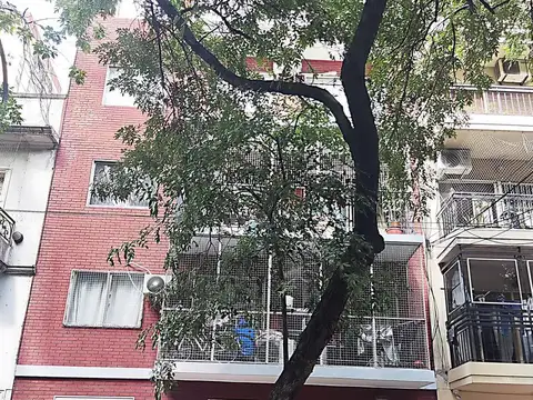 Formosa 56 5º C