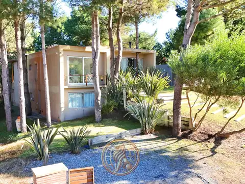 Lote al 300