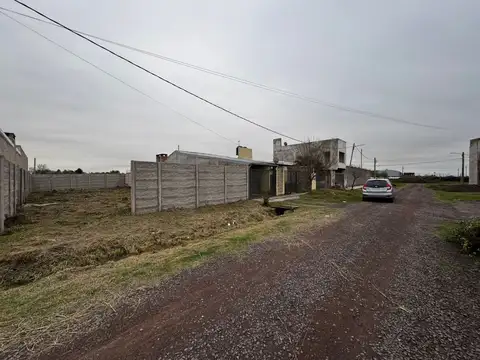 Nazareno Rosciani 1600