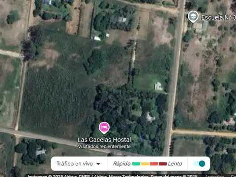Venta, Terreno, Chacra, Gualeguay, Entre Ríos, Gualeguaychú