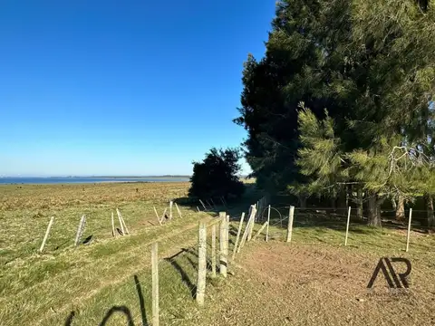 Camino vecinal 4to 100