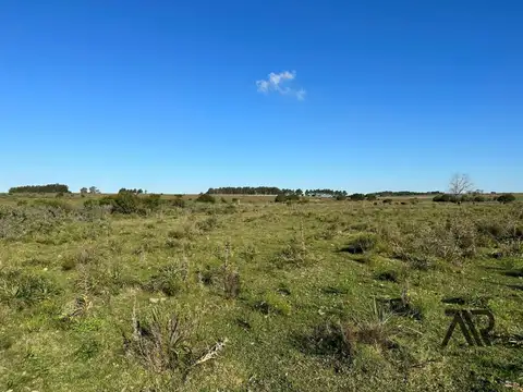 Terreno en Venta 1  mts Frente