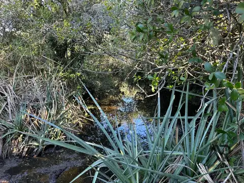 Chacra de 4 ha Laguna de José Ignacio, Maldonado/uruguay.