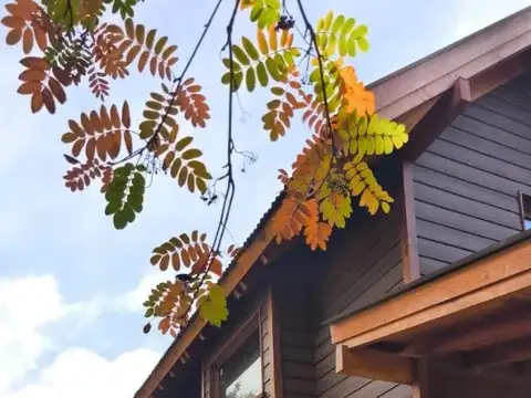 Casa en Alquiler al Este