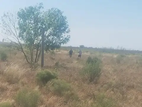 Campo en VENTA en Alejandro Korn