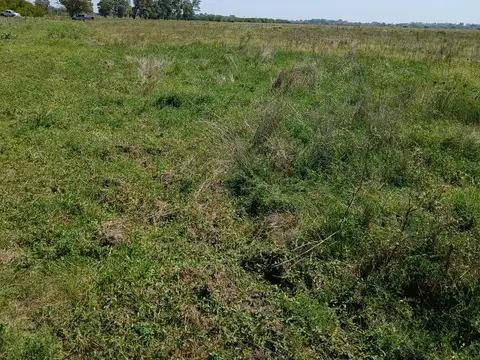 Campo en Venta en Alejandro Korn, Partido de San Vicente