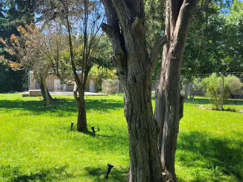 Quinta en Alquiler Temporal de 1 dormitorio