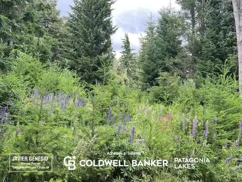 Terreno en Venta en Puerto, USD 180.000