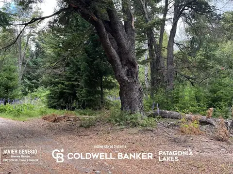 Boulevard Quetrihue al 1400