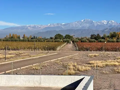 AZCUENAGA