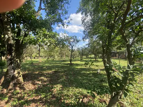 VENDO 10  hectáreas en Posadas Misiones