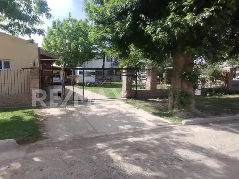 Emilio Saracco y Simoni 100