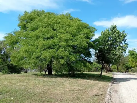 Terreno en Venta,2300 mts con Escritura en Causana