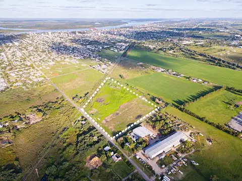 Campo 5,2 ha en venta zona industrial san lorenzo