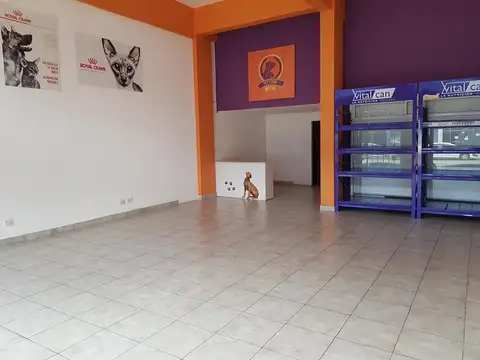 Local en Alquiler 14 años