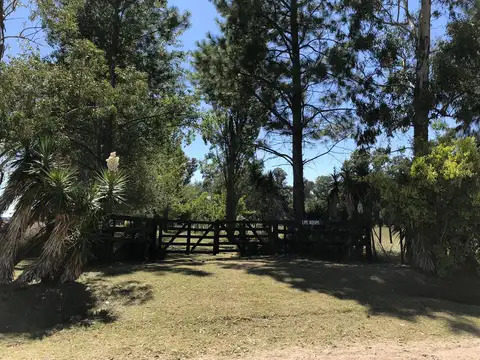 Campo en venta en  La Plata