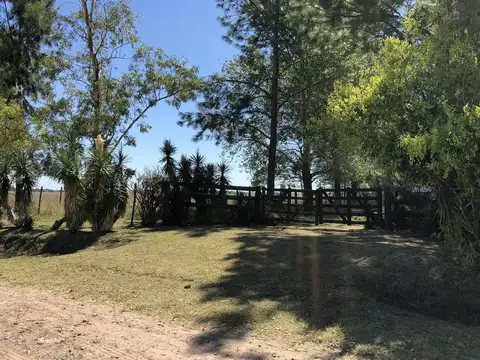 Ruta 215 - Gómez