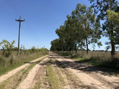 Ruta 215 - Gómez