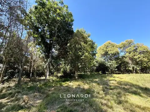 Lote en venta en Matheu