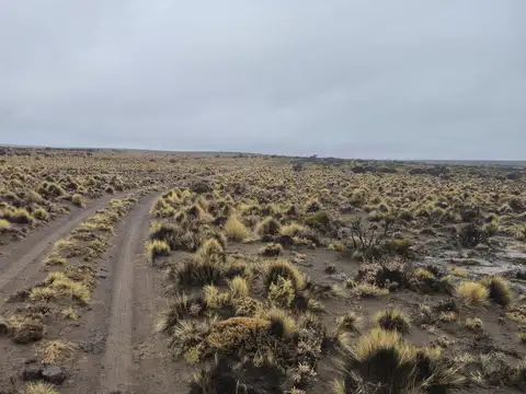 Campo de campo en Valcheta, Rio Negro.
