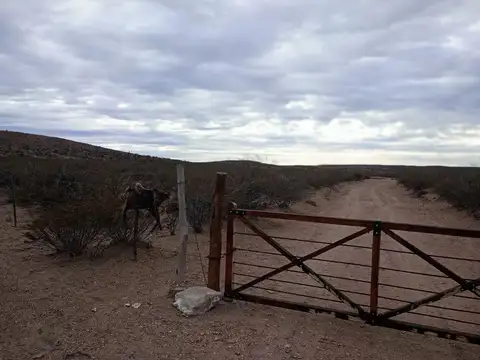Campo de campo en Valcheta, Rio Negro.